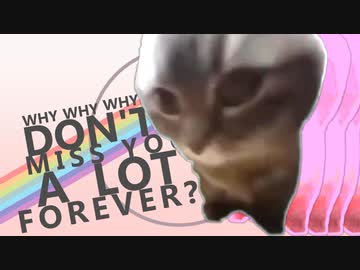 猫ミームは大変なものをチャパっていきました