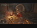 エルデンリング TMCターニッシュドメイクライ侵入part146