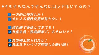 參政黨って親露なんでしょ？