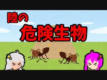 【VOICEROID解説】ゆかり先輩と見る危険生物【陸編⑫】
