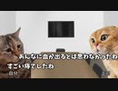 【出血編】ホモビデオ制作会社アルバイトの日常 #猫ミーム #猫マニ