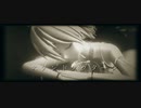 【東方MMD】「ステンドノクターン」【Tda式改変チルノ】