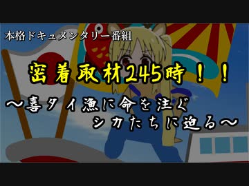密着245時！！～喜タイ漁に命を注ぐシカたちに迫る～