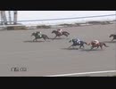 2024年3月10日金沢競馬4R がんばれ北陸！ＴＫ利絵＆里美支援(C1-五組) ユキヤナギ