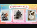 わんだふるぷりきゅあ！ あなたのおうちのわんだふる♥4〜6
