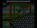 semelhanças musicais banda djavu parece eek the cat e metralhadora parece letty touhou