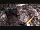 (続く駆け引きｗ)変態忍者の、有害鳥獣駆除従事活動記・その２７７