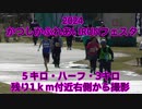 2024・かつしかふれあいRUNフェスタ（5キロ・ハーフ・3キロ）