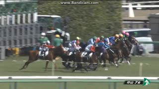 2024年3月10日　中山7R　3歳1勝クラス　アララララ