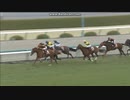2011 スプリングＳ(GII)　オルフェーヴル