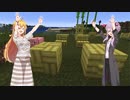 第８話【考古学のおしまい？】マインクラフト考古学