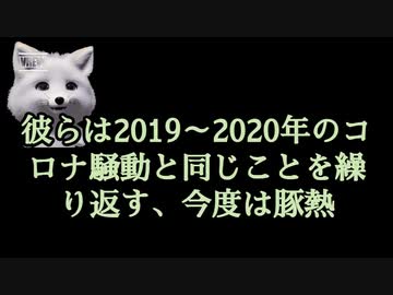 【致死率100％のアフリカ豚熱】韓国で拡大？慌てる必要なし！我々にはアレがある！