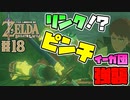 【ゼルダの伝説 BotW】#18　イーガ団強襲！！狙いはリンクの命！！