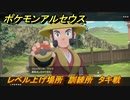 ポケモンアルセウス　レベル上げ場所　訓練所　タキ戦　【Pokémon LEGENDS アルセウス】
