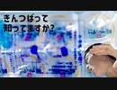 【きんつば】という和菓子を、あなたは知っていますか?