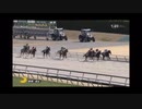 2024/03/10 中京4R 3歳未勝利 パッカパッカブー
