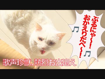 生きる宝石珍獣、歌いながら熱烈なお出迎えをする