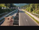 猫ミームで16式の思い出