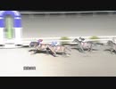 2024年3月11日高知競馬8R 野根山特別(B-1組) シンギングロード