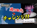 失ったポケモンは二度と戻らない。【ポケモンプラチナ】#21