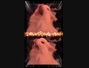 【猫ミーム】叫ぶ猫 元ネタ・使用例【音MAD】