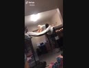 女vs布団で出来た橋