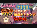 【ハムの人】激辛ペヤングやきそば最速チャレンジ56秒46RTA