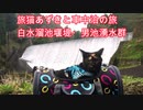 旅猫あずきと車中泊の旅　白水溜池堰堤・男池湧水群　20160412②　旅行（保護猫から旅猫へ）