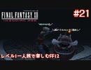 レベル1一人旅で楽しむFF12 #21【FF12TZA/ゆっくり実況】