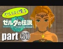 やたらよく喋る騎士 part50【ゼルダの伝説Tears of the Kingdom】