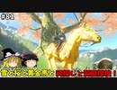 【ゆっくり実況】初めてのティアーズオブザキングダム！ part81【ティアーズオブザキングダム】