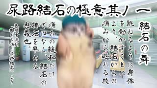 尿路結石になった話（8回目）【猫ミーム】