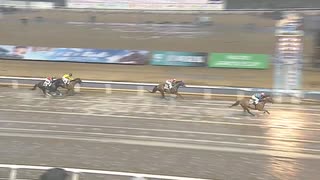 2024年3月12日川崎競馬11R 日吉（ひよし）オープン(OP) コパノジャッキー