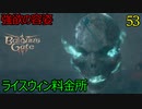 バルダーズゲート3　53　Outcast購入　傷ついたヘルダスクの鎧　ミーゼル　ライスウィン料金所　強欲の容姿