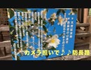Voicepeak カメラ担いで♪♪ １分弱で巡る 防長路9 〜 日見　西長寺の白い山茶花」　大島郡周防大島町日見