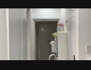 lv344566523 min