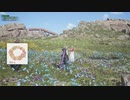 【FF7リバース】#14 ちょっと寄り道クエスト消化その３～グラスランドの残り分～