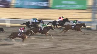 2024年3月13日川崎競馬11R 椿（つばき）賞（クラウンカップＴＲ）(準重賞・3歳) クニノトキメキ