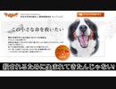 □殺されるために生まれてきたんじゃないNPO法人動物愛護団体 ANGELS 活動