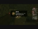 #129【ゼルダの伝説 ブレス オブ ザ ワイルド】ハイラル城はお宝の山！