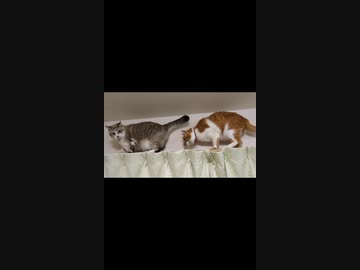 ホモと見る迫りくるケツ