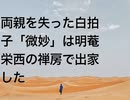 両親を失った白拍子「微妙」は明菴栄西の禅房で出家した