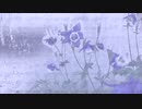 Down Beat「四季折々 春 01」00994-C