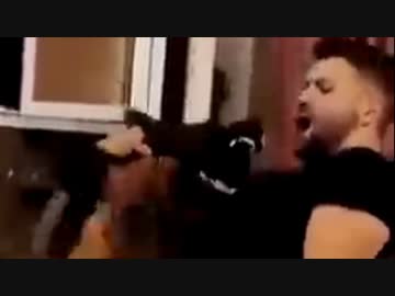 イッヌの前で掃除機に襲われた結果