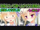 【エロゲ実況】16　凌辱系エロゲに興味津々なむっつりドエロ淫乱娘【金色ラブリッチェ】