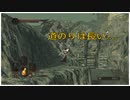 【PS4版 DARK SOURSⅡ】どんなに対策しても倒せない敵がいるんです。