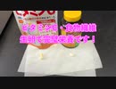 【完全栄養】【生存報告】　生卵10個に三ツ矢フルーツリッチプラスGABA混ぜたら最高のプロテインが完成しました788日目