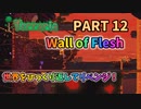 【Terraria実況】再戦！ウォールオブフレッシュ戦　PART12