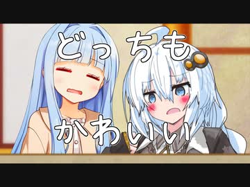 人気投票同率一位の青白組のシロクロつけたかった、つけたかったのになぁ...