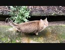そっちじゃないのよ…